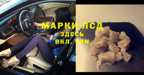 прущие грибы Баксан